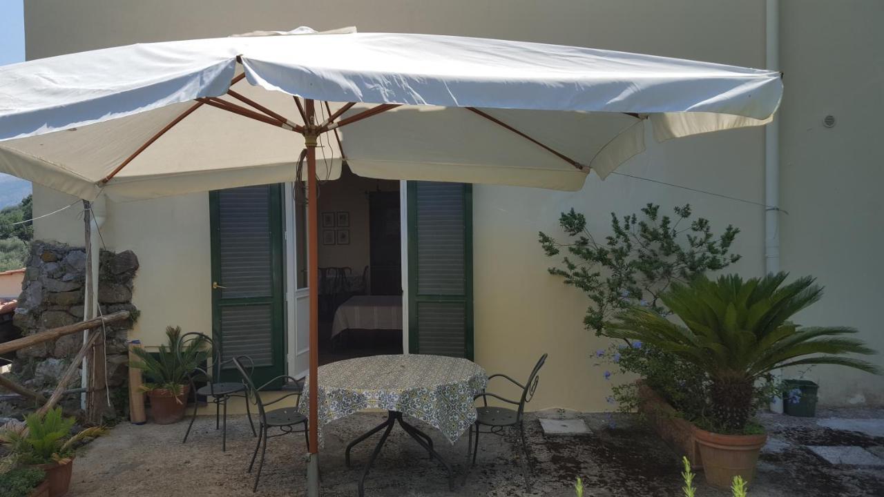 Gli Ulivi Agriturismo Sant'Agnello Exteriér fotografie